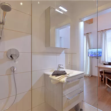 Ein modernes Badezimmer mit einer Dusche und einem Waschbecken. Im Hintergrund ist ein Tisch und ein Fernseher sichtbar.