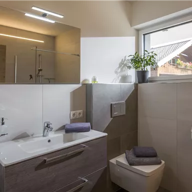 A modern bathroom with a sink, a mirror, and a toilet. The windows let in natural light and there is a small plant on the windowsill.
