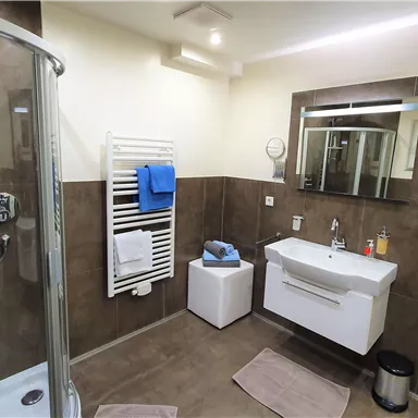 Ein modernes Badezimmer mit einer Dusche, einem Waschbecken und einem großen Spiegel. Handtücher und Pflegeprodukte sind ordentlich arrangiert.