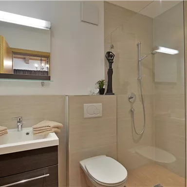 Ein modernes Badezimmer mit einer Dusche und einem schlichten Waschtisch. Die Wände sind in neutralen Farbtönen gehalten und es gibt dekorative Elemente wie Handtücher und Pflanzen.