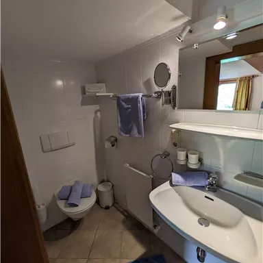 Ein modernes Badezimmer mit einem Waschbecken, einem WC und einem großen Spiegel. Es sind blaue Handtücher und ein dunkeltürkiser Teppich zu sehen.