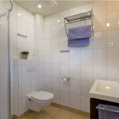 Badezimmer mit Dusche und WC.