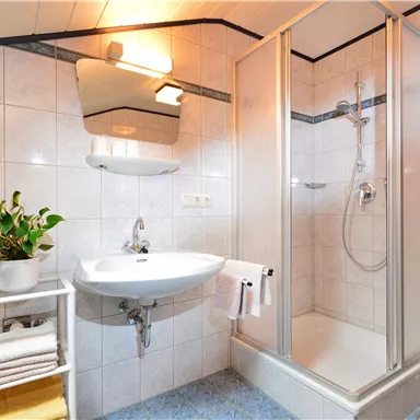 Ein modernes Badezimmer mit einer Dusche, Waschbecken und einem großen Spiegel. Eine Pflanze und frisch gefaltete Handtücher verleihen dem Raum eine gemütliche Atmosphäre.