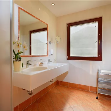 A modern bathroom with a white sink and a large mirror. The walls are light and there is a plant on the sink.