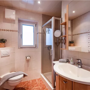 A modern bathroom with a shower, sink, and toilet. The walls are tiled in light colors, and there are towels as well as a small plant for decoration.