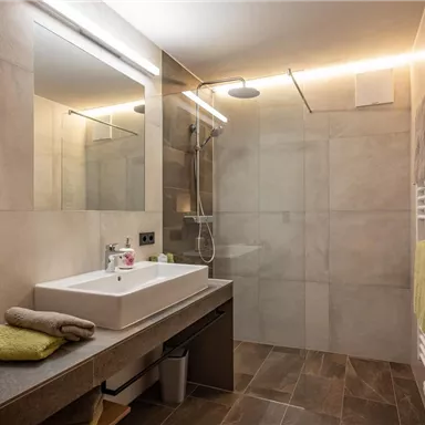A modern bathroom with an elegant sink and a large shower. The walls are in neutral colors, and there are towels and hygiene items on the shelf.