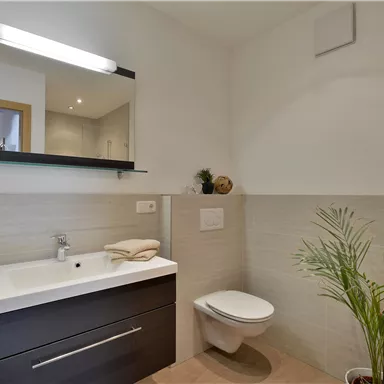 Ein modernes Badezimmer mit einem schlichten Waschtisch und einem großen Spiegel. An der Wand steht eine kleine Pflanze, die dem Raum eine frische Note verleiht.