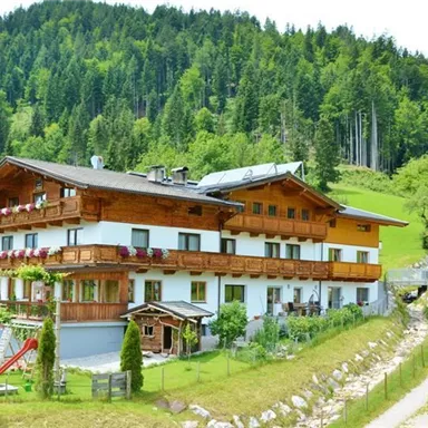 Ein malerisches Holzhaus inmitten der Natur, umgeben von Bäumen und Wiesen. Im Vordergrund befindet sich ein kleiner Spielplatz.