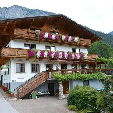 Ein traditionelles Chalet in den Bergen mit bunten Blumenkästen. Umgeben von grüner Natur und Bergen im Hintergrund.