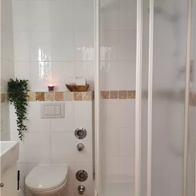 A modern bathroom with a shower cubicle and a toilet. The walls are tiled in light colors, and there is a small plant as well as decorative elements.
