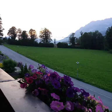 A peaceful landscape with green grass and trees in the background. Colorful flowers are on the balcony.