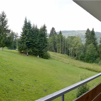 A peaceful view of a green meadow with trees in the background. In the foreground, a balcony can be seen.