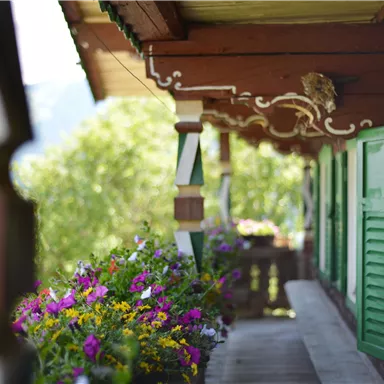 A picturesque wooden house with green shutters. Colorful flower boxes adorn the balcony, giving the scene a lovely, inviting charm.
