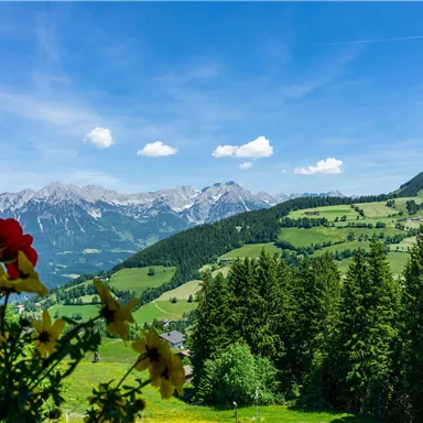 Eine wunderschöne Landschaft mit Bergen im Hintergrund und grünen Hügeln. Im Vordergrund blühen bunte Blumen.