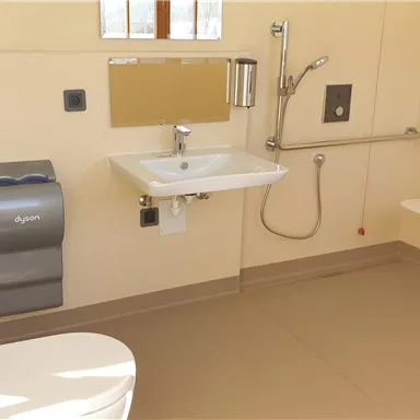 A modern bathroom with a toilet, a sink, and grab bars. The walls are light and the room is well-lit.