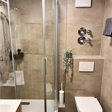 A modern bathroom with a shower cabin and gray tiles. There is a toilet and a small green plant for decoration.