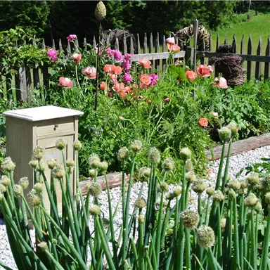 A beautiful garden with colorful flowers and a small bee house. Fresh onions are growing in the foreground.