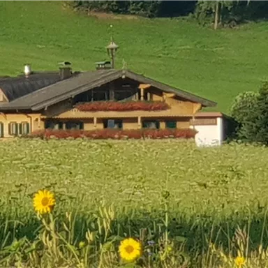A beautiful country house surrounded by green meadows and sunflowers. The landscape is sunny and peaceful.