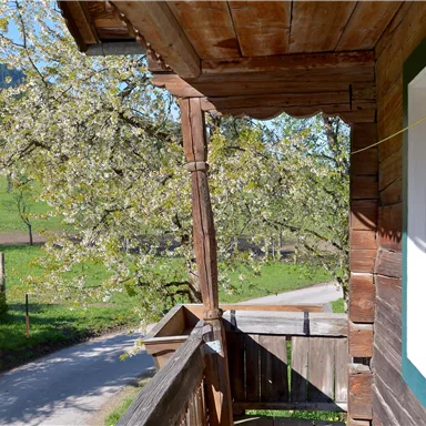 A wooden house with a balcony and a view of a blooming tree. In the background, a green meadow and an asphalt road are visible.