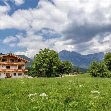 Ein malerisches Bauernhaus inmitten einer grünen Wiese. Im Hintergrund sind beeindruckende Berge und ein blauer Himmel mit weißen Wolken zu sehen.