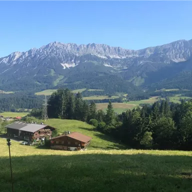 Eine idyllische Landschaft mit grünen Wiesen und traditionellen Holzhäusern. Im Hintergrund erheben sich majestätische Berge unter einem klaren blauen Himmel.