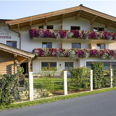 Ein charmantes Hotel mit blühenden Balkonkästen. Umgeben von einer grünen Landschaft und einem gepflegten Garten.