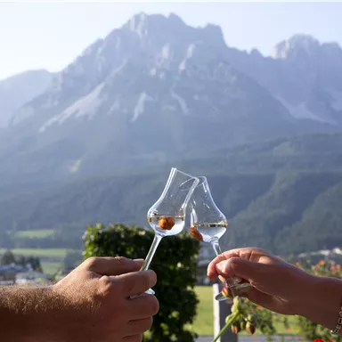 Zwei Personen stoßen mit Gläsern an, während im Hintergrund majestätische Berge zu sehen sind. Es ist ein schöner, sonniger Tag.