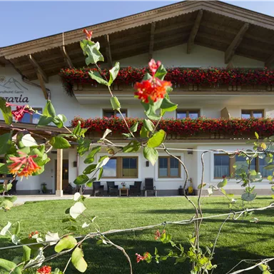 Ein schönes Gasthaus mit Balkon und bunten Blumen. Der Garten ist grün und einladend.