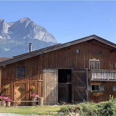 Ein traditionelles Holzhaus mit Balkon, umgeben von Blumen. Im Hintergrund sind beeindruckende Berge und ein blauer Himmel zu sehen.