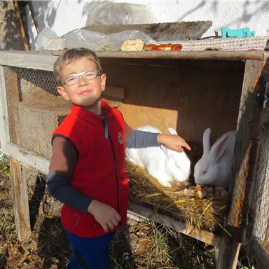 Ein Junge steht neben einem Kaninchenstall und zeigt auf die Kaninchen. Es ist ein sonniger Tag und die Umgebung sieht ländlich aus.