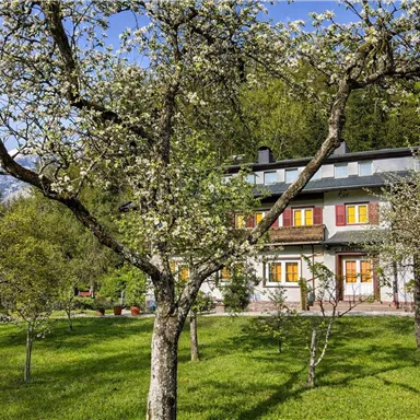 Ein charmantes Haus umgeben von blühenden Obstbäumen und grünen Wiesen. Im Hintergrund sind die Berge sichtbar und der Himmel ist klar.