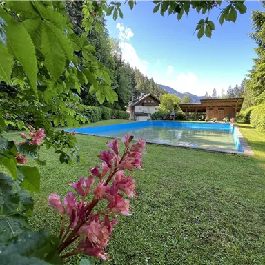 Ein ruhiger Garten mit einem Pool und umgeben von Bäumen. Im Vordergrund blühen pinke Blumen.