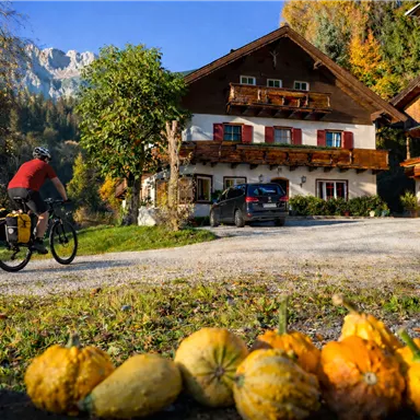 Ein Radfahrer fährt auf einem Kiesweg vorbei an einem traditionellen Haus und bunten Kürbissen. Die Landschaft ist von Bäumen und Bergen umgeben und zeigt eine herbstliche Atmosphäre.