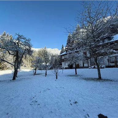 Ein verschneiter Garten mit Laubbäumen und einem schönen Gebäude im Hintergrund. Der klare blaue Himmel ergänzt die winterliche Landschaft.