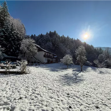 Eine verschneite Landschaft mit einem Haus und schneebedeckten Bäumen. Der Himmel ist klar und die Sonne scheint.
