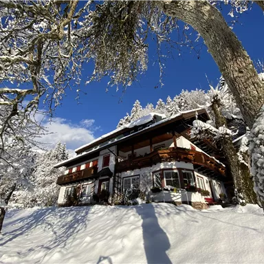 Ein charmantes Haus im Winter, umgeben von schneebedeckten Bäumen. Der Himmel ist klar und blau, was eine friedliche Atmosphäre schafft.