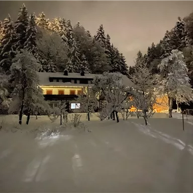 Ein verschneites Haus umgeben von hohen Bäumen bei Nacht. Das Licht des Hauses strahlt warm durch die winterliche Landschaft.