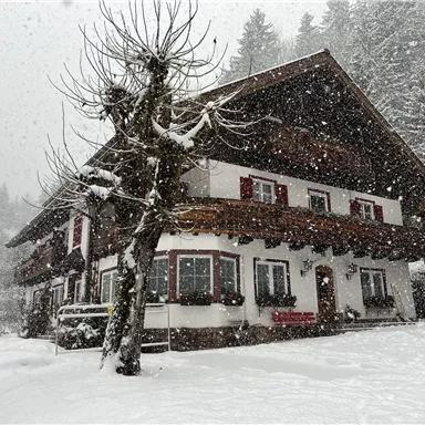 Ein schneebedecktes Haus in einer winterlichen Landschaft. Dicke Schneeflocken fallen und umgeben die charmante Architektur.