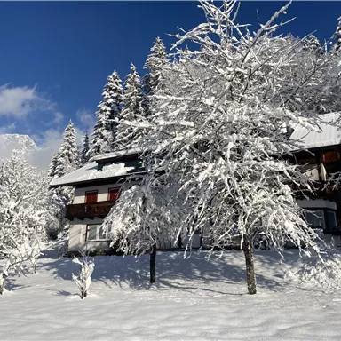 Ein malerisches Haus im Schnee, umgeben von schneebedeckten Bäumen. Der Himmel ist klar und blau, was die winterliche Szene beleuchtet.