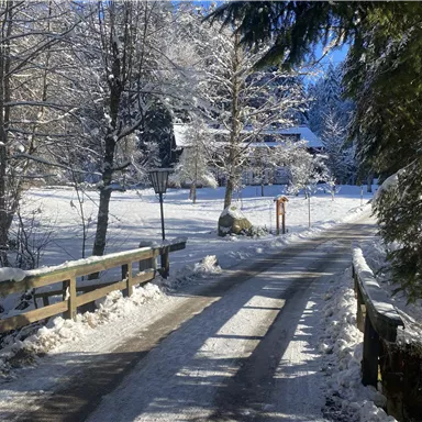 Eine verschneite Straße führt durch eine winterliche Landschaft. Bäume sind mit Schnee bedeckt, und im Hintergrund ist ein Haus zu sehen.