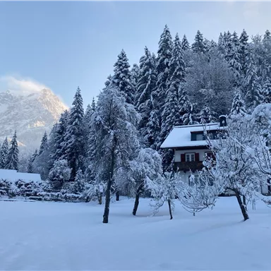 Eine winterliche Landschaft mit schneebedeckten Bäumen und einem roten Haus. Im Hintergrund sind schneebedeckte Berge zu sehen.