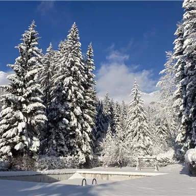 Eine verschneite Winterlandschaft mit hohen, schneebedeckten Bäumen. Im Vordergrund ist ein leerer Pool und eine Schaukel zu sehen.