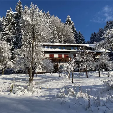 Ein malerisches Haus im Schnee, umgeben von verschneiten Bäumen. Der klare Himmel sorgt für eine ruhige Winteratmosphäre.