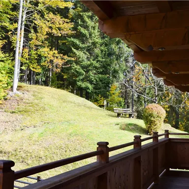 A beautiful view from a balcony of a green meadow and trees in autumn. The colors of the leaves are vibrant and the sky is clear.
