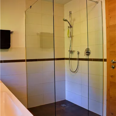 A modern bathroom with a glass shower cubicle. The walls are brightly tiled and there is a wooden block for the door.
