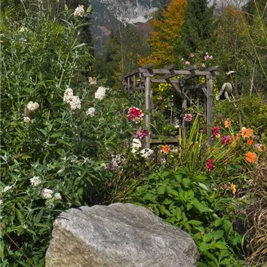 A beautiful garden with colorful flowers and a large rock. In the background, mountains and trees can be seen.