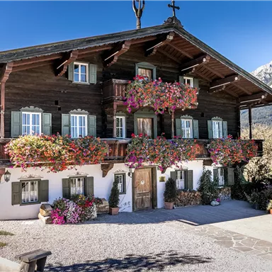 Ein traditionelles Holzhaus mit blühenden Blumen an den Balkonen. Im Hintergrund sind majestätische Berge zu sehen.
