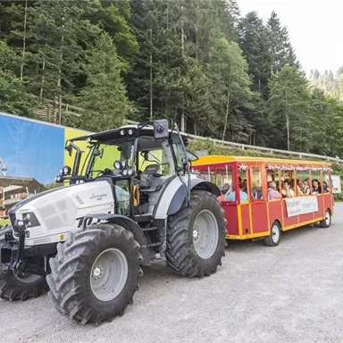 Ein Traktor zieht eine bunte Bahn mit Fahrgästen durch eine bewaldete Landschaft. Im Hintergrund sind Bäume und eine Werbetafel zu sehen.