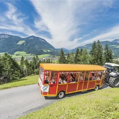 Ein bunter Touristenbus fährt eine kurvenreiche Landstraße entlang. Im Hintergrund sind beeindruckende Berge und grüne Wälder sichtbar.