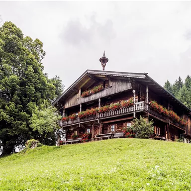 A traditional wooden house with flower boxes on a green hill. In the background, trees and a wooded landscape are visible.